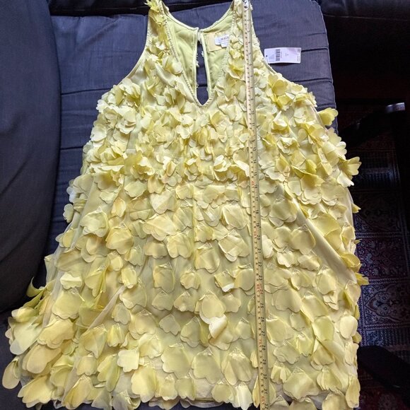 NWT Maeve Sleeveless Floral Appliqué Mini Dress Size S - Picture 7 of 7